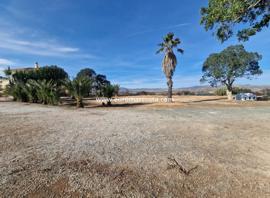 Venta - Villa - Cieza - Murcia