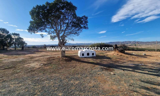 Venta - Villa - Cieza - Murcia