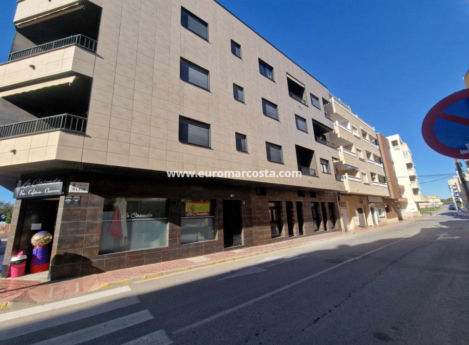 Venta - Estudio - Torrevieja - La Mata