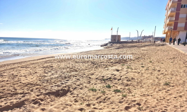 Venta - Estudio - Torrevieja - La Mata