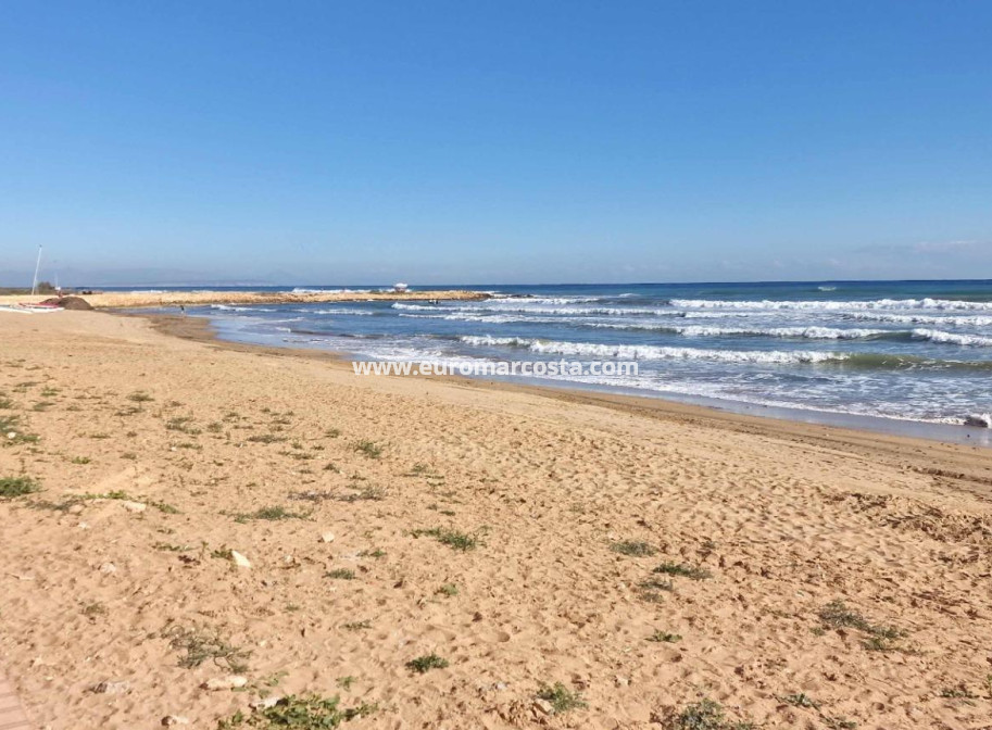 Venta - Estudio - Torrevieja - La Mata