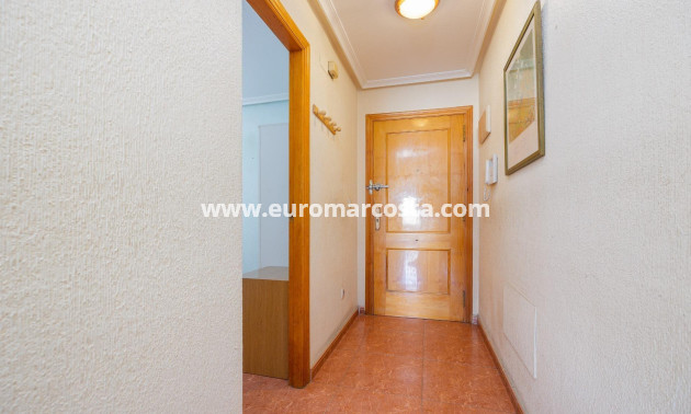 Venta - Apartamento / piso - Torrevieja - TORREVIEJA