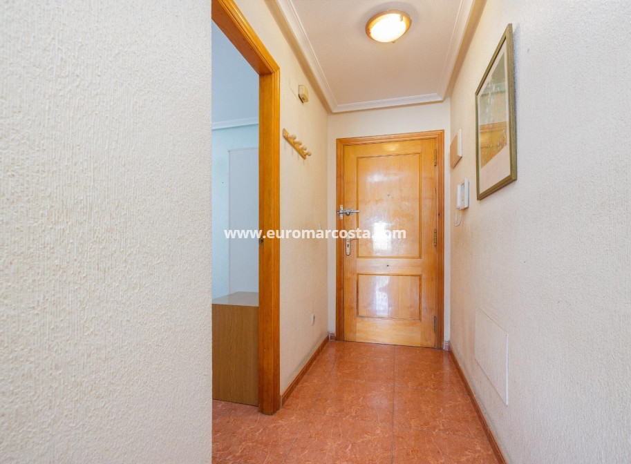 Venta - Apartamento / piso - Torrevieja - TORREVIEJA