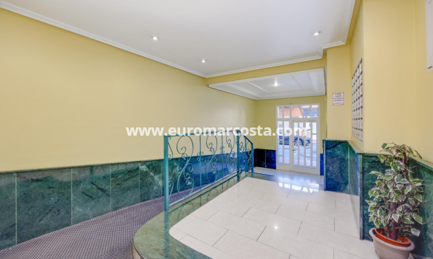 Venta - Apartamento / piso - Torrevieja - TORREVIEJA