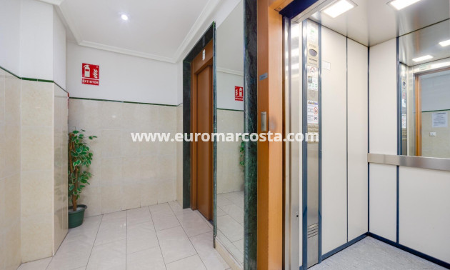 Venta - Apartamento / piso - Torrevieja - TORREVIEJA