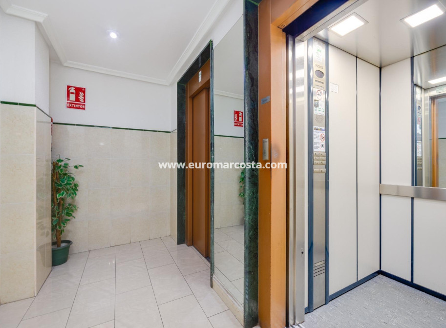 Venta - Apartamento / piso - Torrevieja - TORREVIEJA
