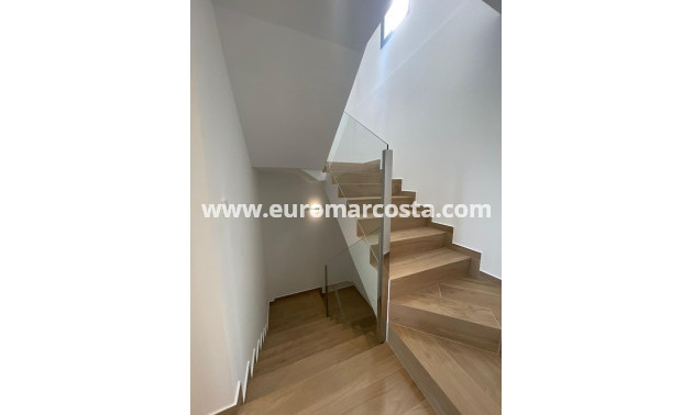Venta - Villa - Algorfa - Comunidad valenciana