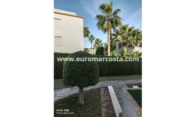 Venta - Apartamento / piso - Orihuela - Montepinar-La Aparecida-Raiguero