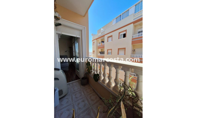 Objekte zum Wiederverkauf - Wohnung - Torrevieja - TORREVIEJA
