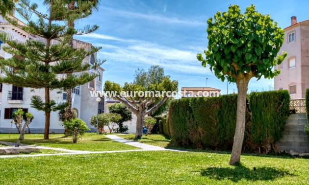Venta - Villa - Torrevieja - Calas blanca