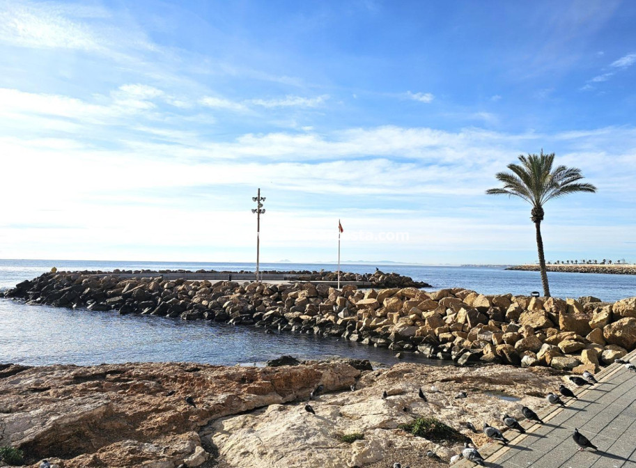 Sale - Apartment / flat - Torrevieja - TORREVIEJA