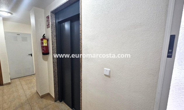 Sale - Apartment / flat - Torrevieja - TORREVIEJA