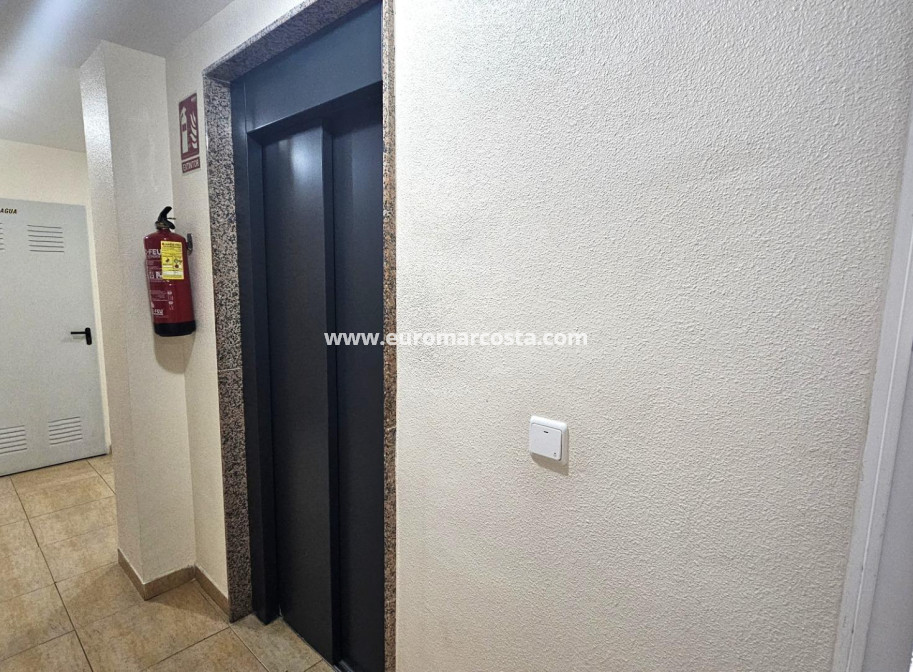 Sale - Apartment / flat - Torrevieja - TORREVIEJA