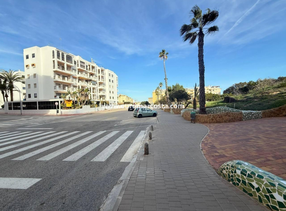 Sale - Apartment / flat - Guardamar del Segura - Pueblo