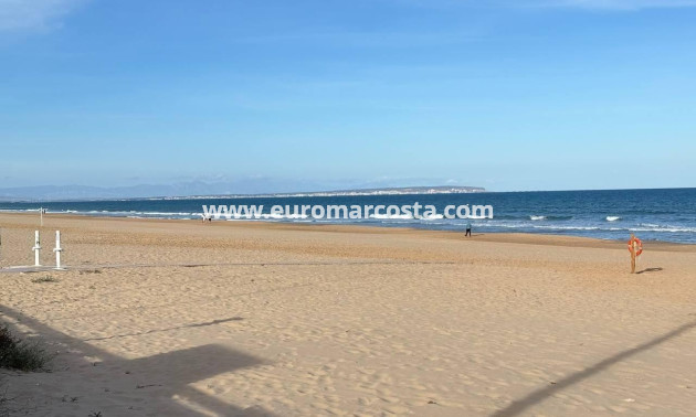 Sale - Apartment / flat - Guardamar del Segura - Pueblo