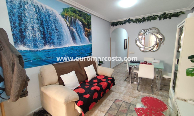 Venta - Apartamento / piso - Torrevieja - TORREVIEJA