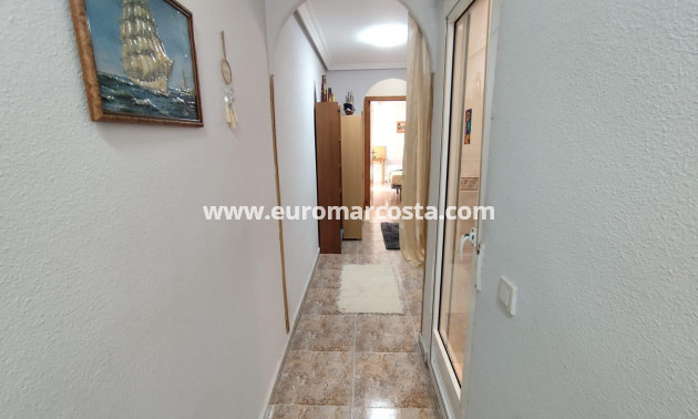 Venta - Apartamento / piso - Torrevieja - TORREVIEJA