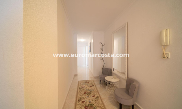 Sale - Penthouse - Torrevieja - TORREVIEJA