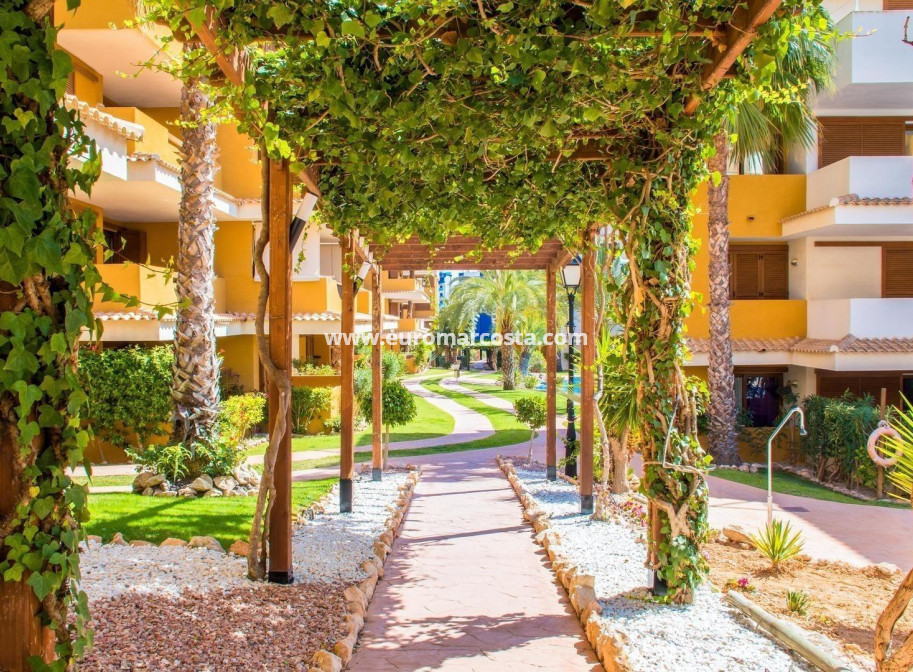 Venta - Apartamento / piso - Torrevieja - Orihuela Costa