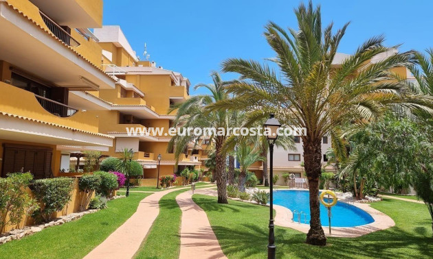Venta - Apartamento / piso - Torrevieja - Orihuela Costa