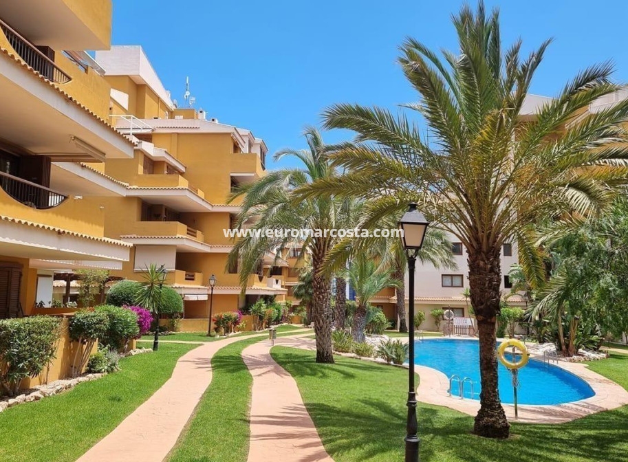 Venta - Apartamento / piso - Torrevieja - Orihuela Costa
