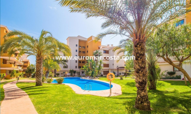 Venta - Apartamento / piso - Torrevieja - Orihuela Costa