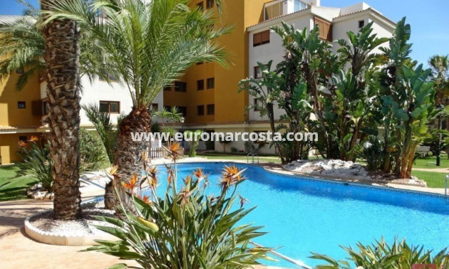 Venta - Apartamento / piso - Torrevieja - Orihuela Costa