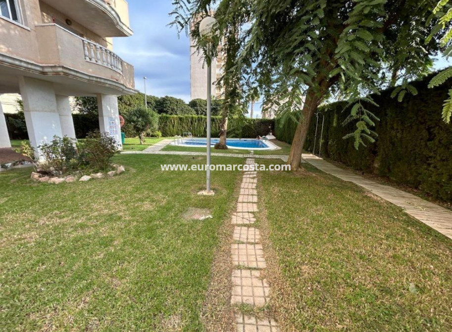 Sale - Apartment / flat - Torrevieja - TORREVIEJA