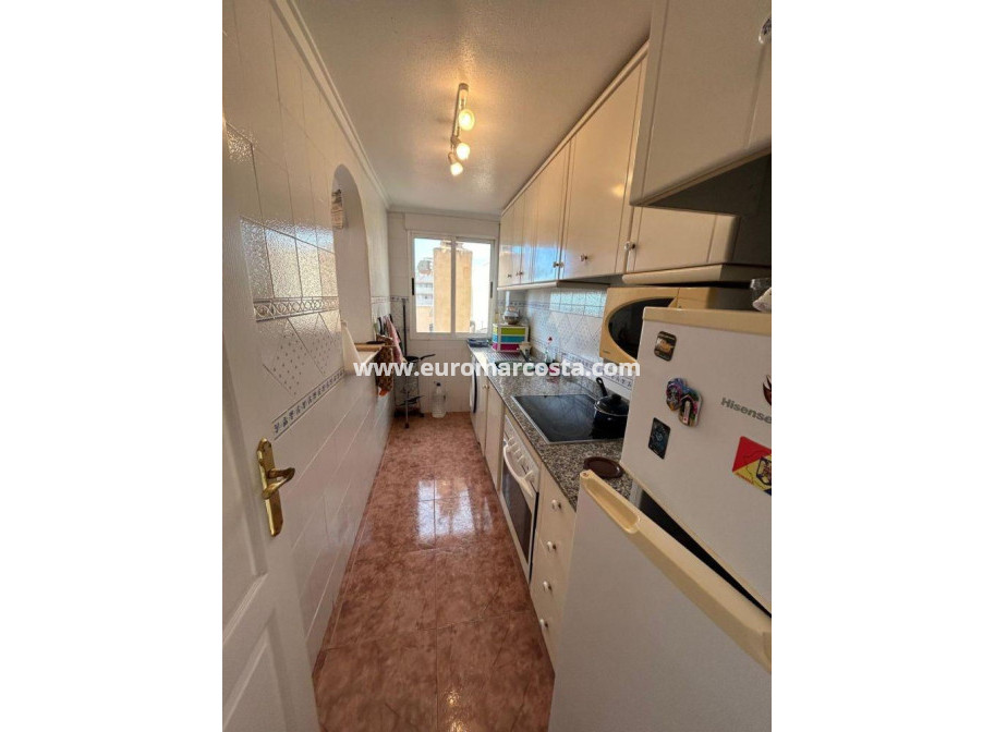 Sale - Apartment / flat - Torrevieja - TORREVIEJA