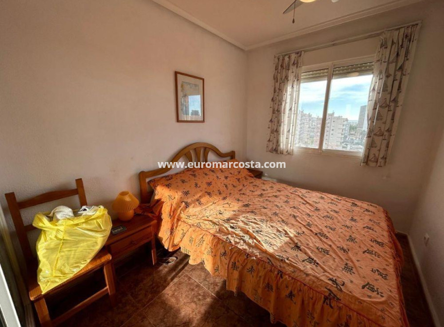 Sale - Apartment / flat - Torrevieja - TORREVIEJA
