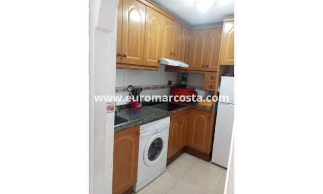 Sale - Apartment / flat - Torrevieja - TORREVIEJA