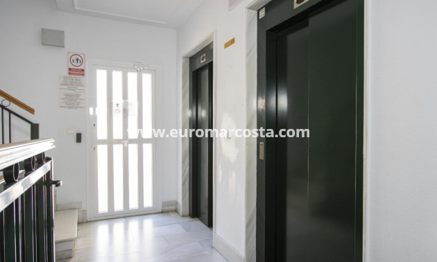 Objekte zum Wiederverkauf - Wohnung - Torrevieja - TORREVIEJA
