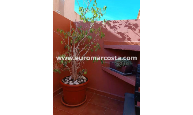 Venta - Adosado - Torrevieja - Aguas Nuevas