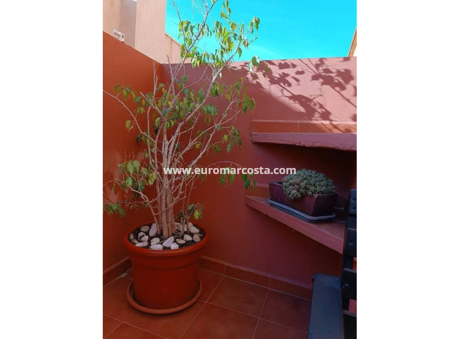Venta - Adosado - Torrevieja - Aguas Nuevas