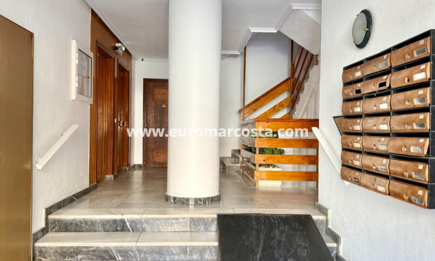 Objekte zum Wiederverkauf - Wohnung - Torrevieja - TORREVIEJA