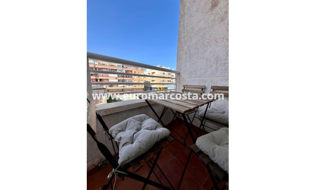 Objekte zum Wiederverkauf - Wohnung - Torrevieja - TORREVIEJA