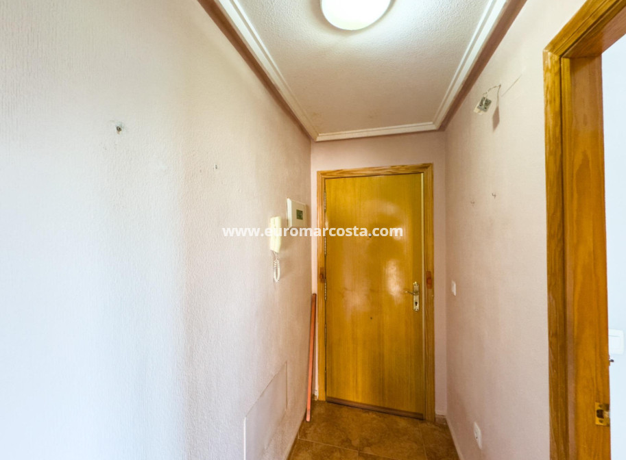Venta - Apartamento / piso - Torrevieja - TORREVIEJA