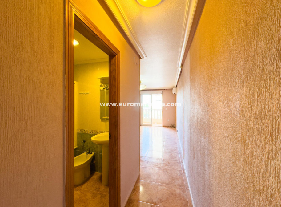 Venta - Apartamento / piso - Torrevieja - TORREVIEJA