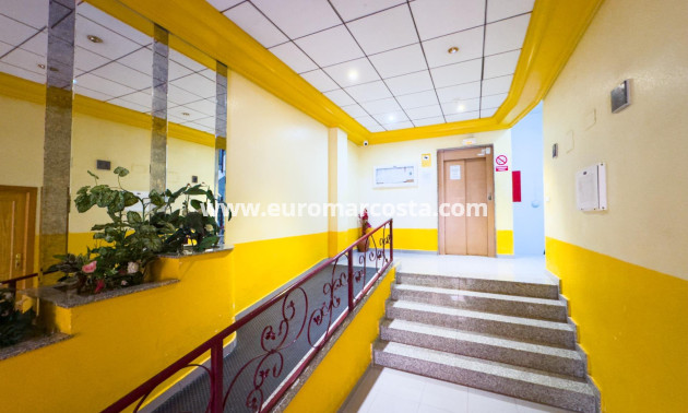 Venta - Apartamento / piso - Torrevieja - TORREVIEJA