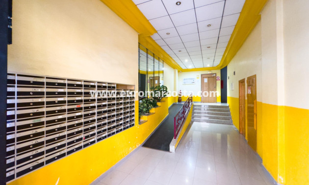 Venta - Apartamento / piso - Torrevieja - TORREVIEJA