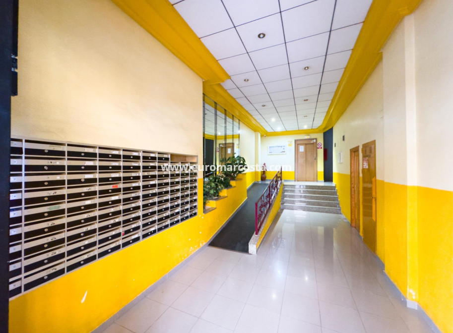 Venta - Apartamento / piso - Torrevieja - TORREVIEJA