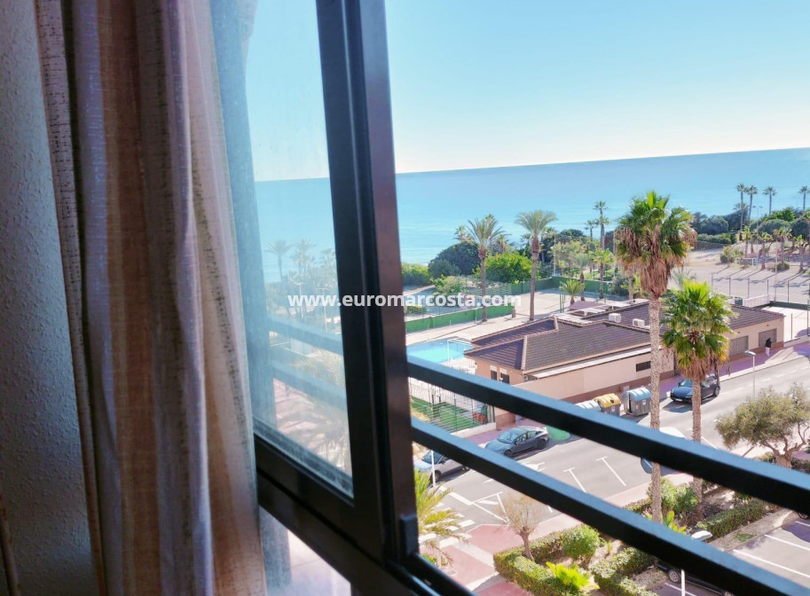 Sale - Apartment / flat - Torrevieja - TORREVIEJA