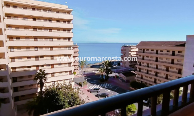 Sale - Apartment / flat - Torrevieja - TORREVIEJA