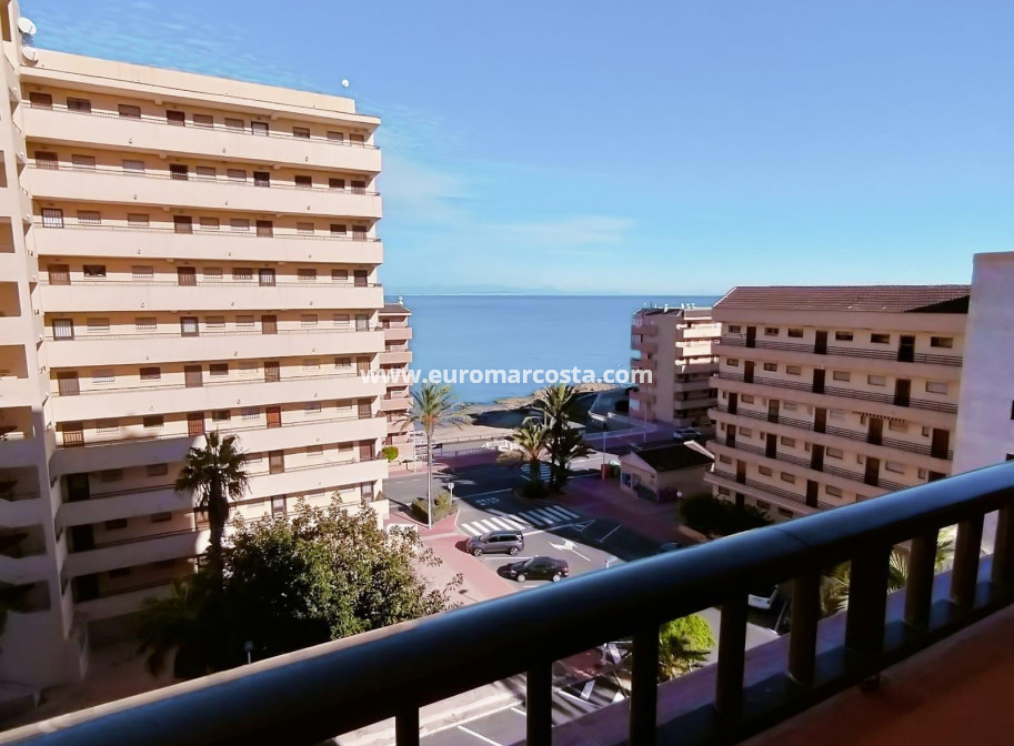 Sale - Apartment / flat - Torrevieja - TORREVIEJA
