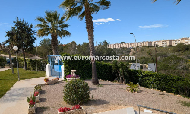Objekte zum Wiederverkauf - Penthouse - Torrevieja - Los Europeos