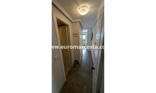 Objekte zum Wiederverkauf - Penthouse - Torrevieja - Los Europeos