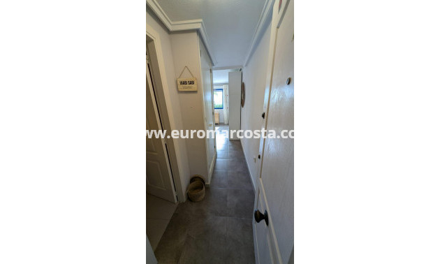 Objekte zum Wiederverkauf - Penthouse - Torrevieja - Los Europeos