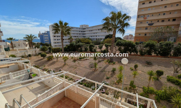 Objekte zum Wiederverkauf - Penthouse - Torrevieja - Los Europeos