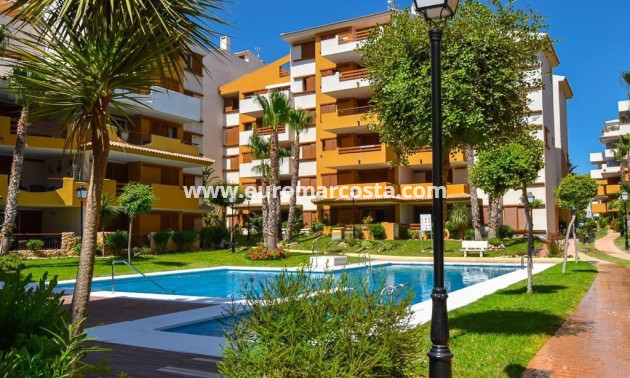Sale - Apartment / flat - Torrevieja - Orihuela Costa