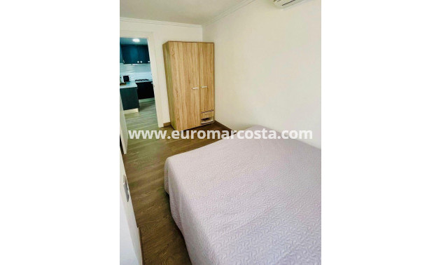 Venta - Apartamento / piso - Torrevieja - TORREVIEJA